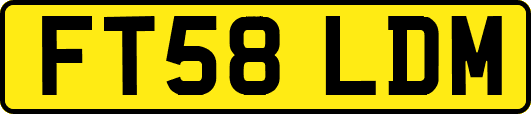FT58LDM