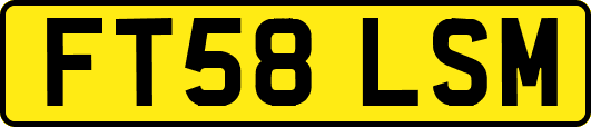 FT58LSM