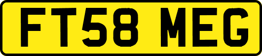 FT58MEG