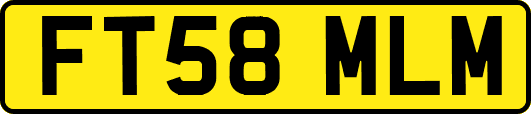 FT58MLM