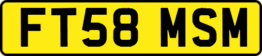FT58MSM