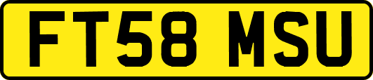FT58MSU