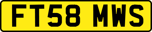 FT58MWS