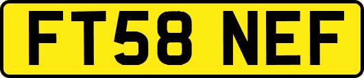 FT58NEF