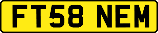 FT58NEM