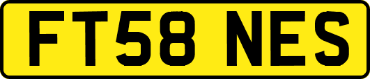 FT58NES