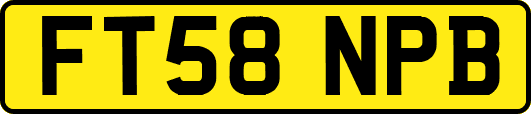 FT58NPB