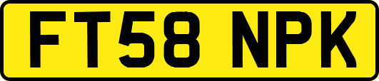 FT58NPK