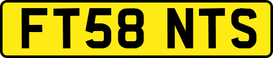 FT58NTS