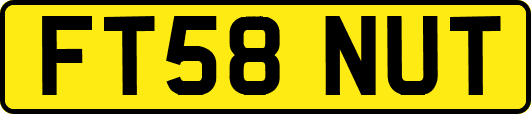 FT58NUT