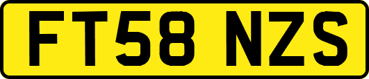 FT58NZS