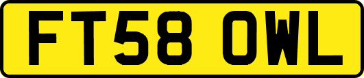 FT58OWL