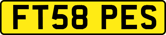 FT58PES