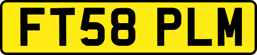 FT58PLM