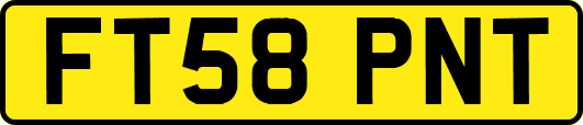 FT58PNT