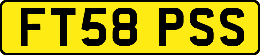 FT58PSS