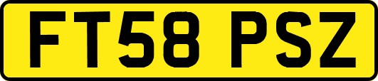 FT58PSZ