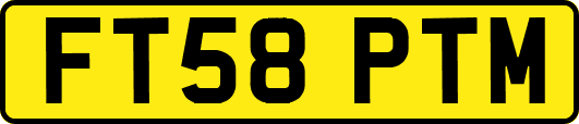 FT58PTM