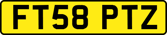FT58PTZ