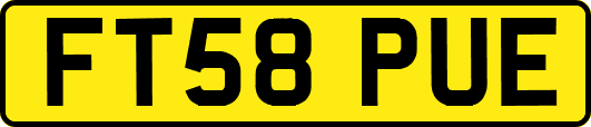 FT58PUE