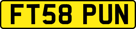 FT58PUN