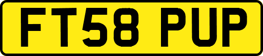 FT58PUP
