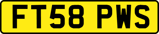 FT58PWS