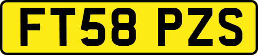 FT58PZS