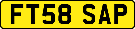 FT58SAP