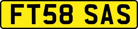 FT58SAS