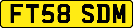 FT58SDM