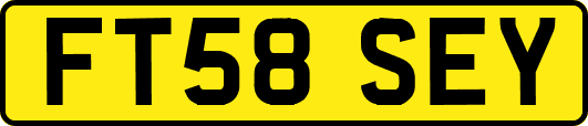 FT58SEY