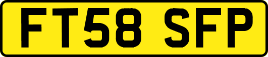 FT58SFP