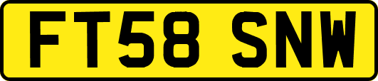 FT58SNW