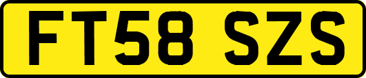 FT58SZS