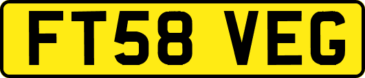 FT58VEG