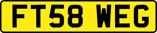 FT58WEG