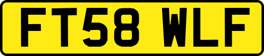 FT58WLF