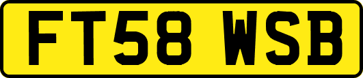 FT58WSB