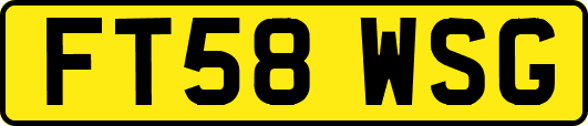 FT58WSG