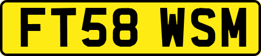 FT58WSM