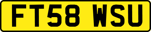 FT58WSU