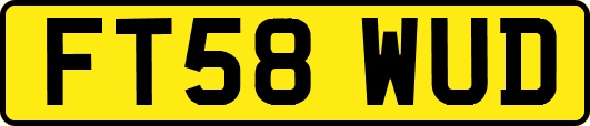 FT58WUD