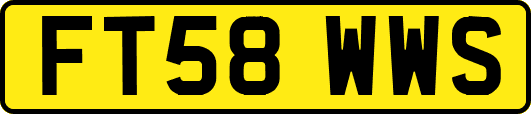 FT58WWS
