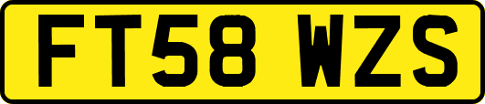 FT58WZS