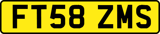 FT58ZMS