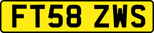 FT58ZWS