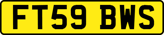 FT59BWS