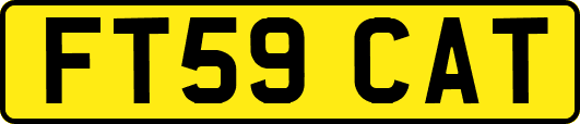 FT59CAT