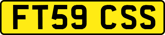FT59CSS